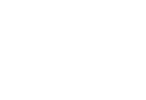 IPS Group