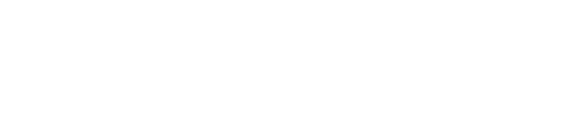 Passport